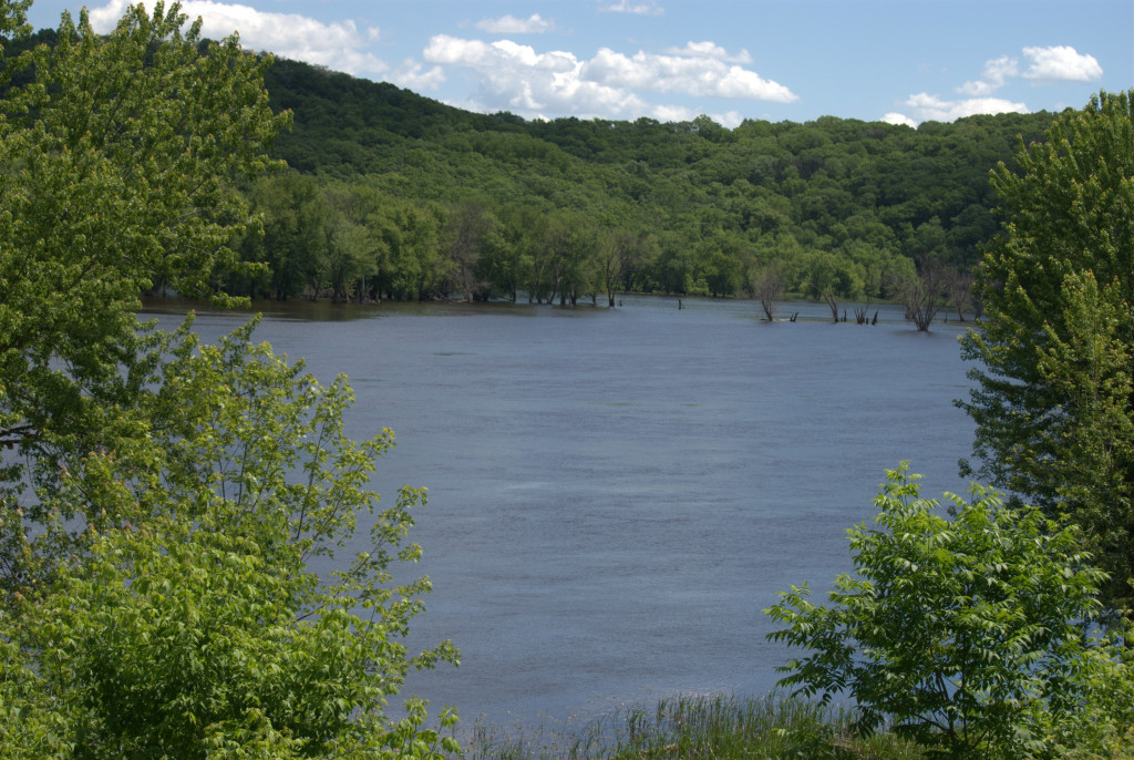 I drove the scenic bypass along the St. Croix River. Breathtaking.