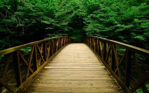bridge to growth